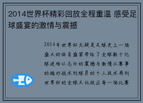 2014世界杯精彩回放全程重温 感受足球盛宴的激情与震撼